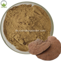 Kostenlose Probe Ganoderma Extract Masse